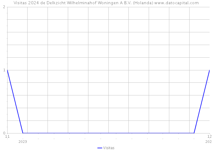 Visitas 2024 de Delkzicht Wilhelminahof Woningen A B.V. (Holanda) 