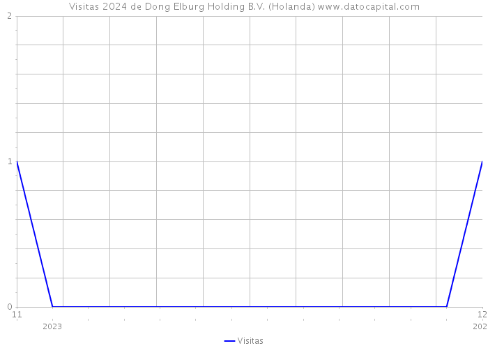 Visitas 2024 de Dong Elburg Holding B.V. (Holanda) 