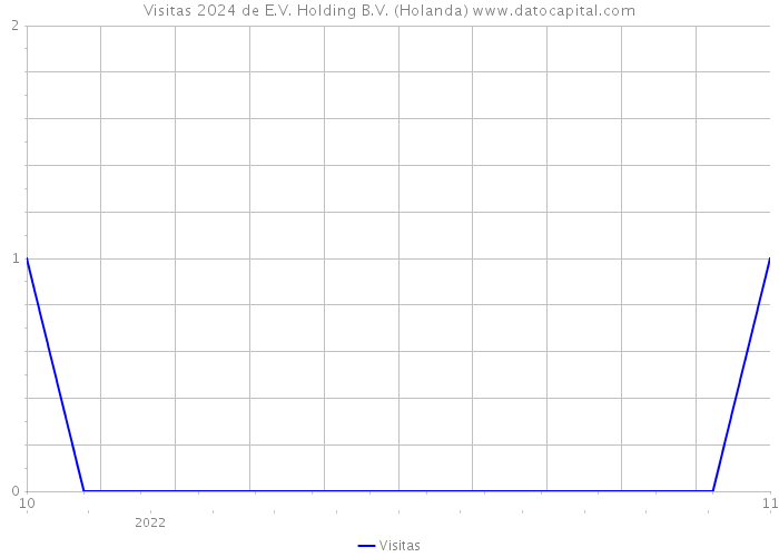 Visitas 2024 de E.V. Holding B.V. (Holanda) 