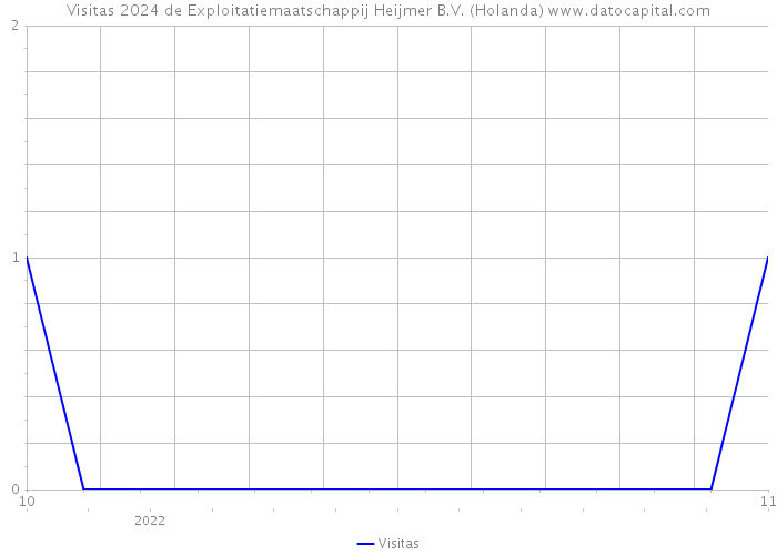 Visitas 2024 de Exploitatiemaatschappij Heijmer B.V. (Holanda) 