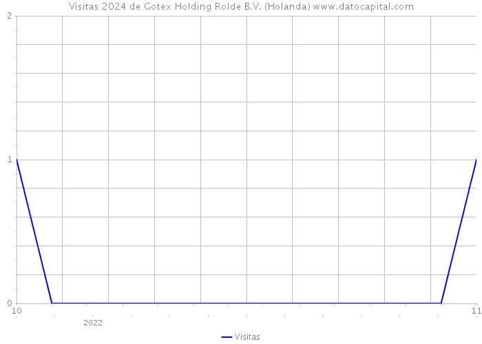 Visitas 2024 de Gotex Holding Rolde B.V. (Holanda) 