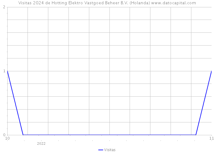 Visitas 2024 de Hotting Elektro Vastgoed Beheer B.V. (Holanda) 