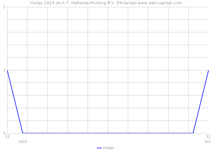 Visitas 2024 de K.T. Hylkema Holding B.V. (Holanda) 