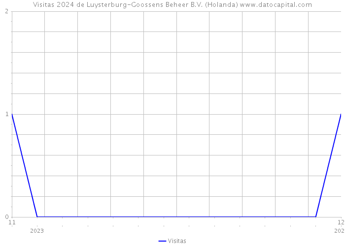 Visitas 2024 de Luysterburg-Goossens Beheer B.V. (Holanda) 