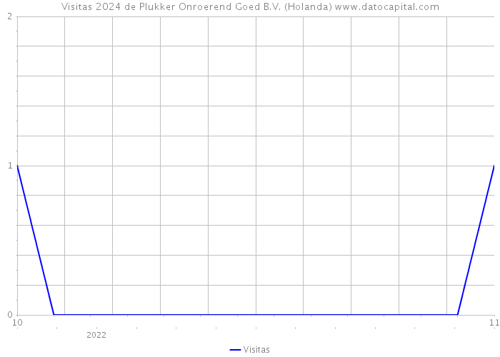 Visitas 2024 de Plukker Onroerend Goed B.V. (Holanda) 