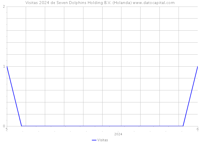 Visitas 2024 de Seven Dolphins Holding B.V. (Holanda) 