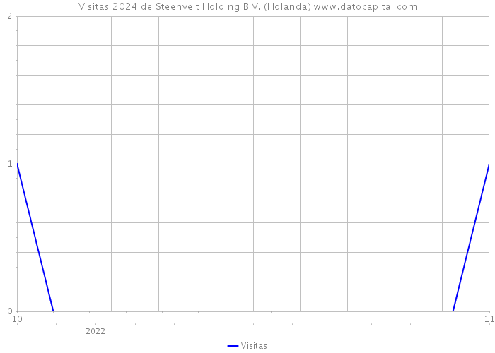 Visitas 2024 de Steenvelt Holding B.V. (Holanda) 