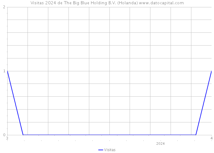 Visitas 2024 de The Big Blue Holding B.V. (Holanda) 