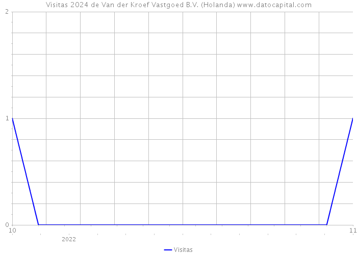 Visitas 2024 de Van der Kroef Vastgoed B.V. (Holanda) 