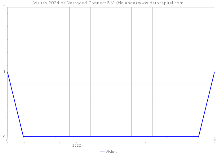 Visitas 2024 de Vastgoed Connect B.V. (Holanda) 