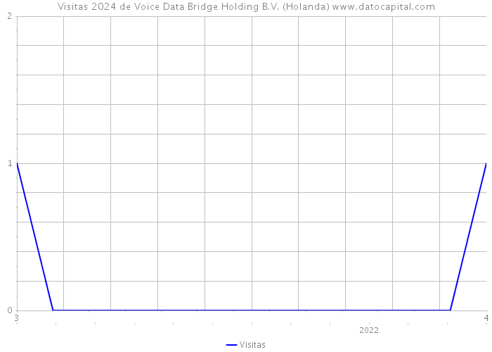 Visitas 2024 de Voice Data Bridge Holding B.V. (Holanda) 