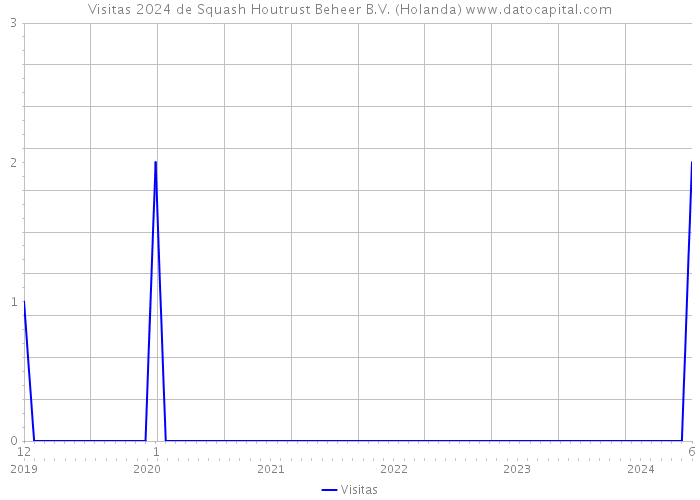 Visitas 2024 de Squash Houtrust Beheer B.V. (Holanda) 