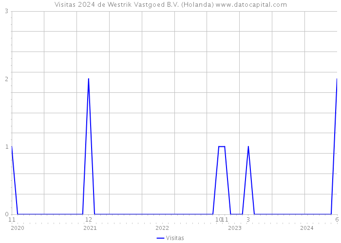 Visitas 2024 de Westrik Vastgoed B.V. (Holanda) 