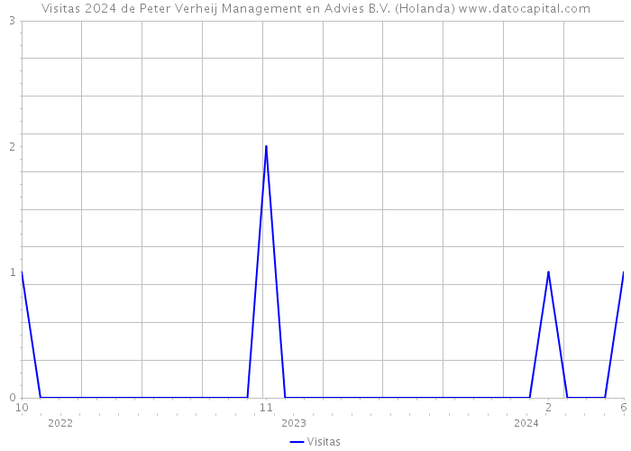 Visitas 2024 de Peter Verheij Management en Advies B.V. (Holanda) 