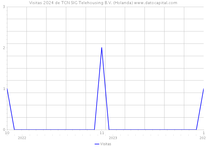 Visitas 2024 de TCN SIG Telehousing B.V. (Holanda) 