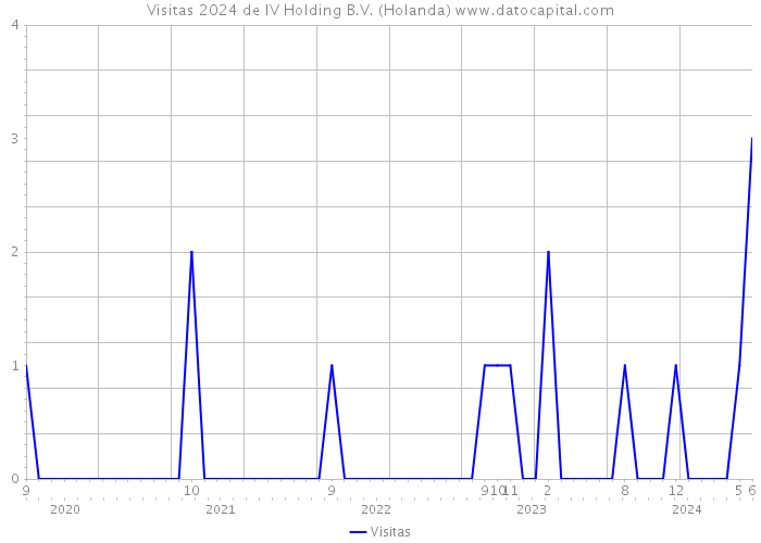 Visitas 2024 de IV Holding B.V. (Holanda) 