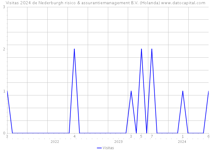 Visitas 2024 de Nederburgh risico & assurantiemanagement B.V. (Holanda) 