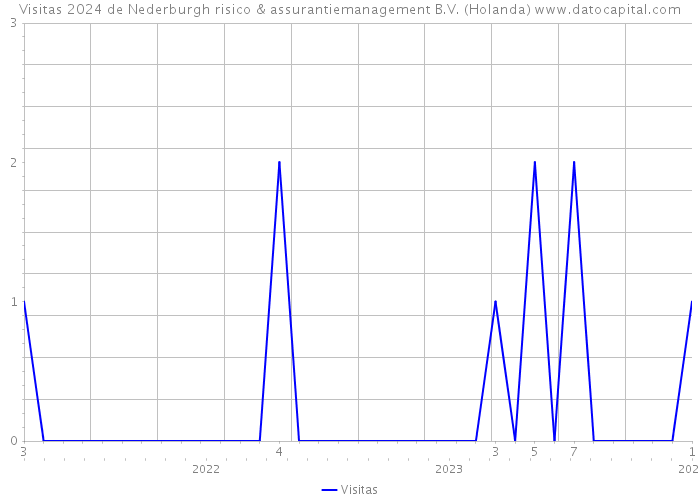 Visitas 2024 de Nederburgh risico & assurantiemanagement B.V. (Holanda) 