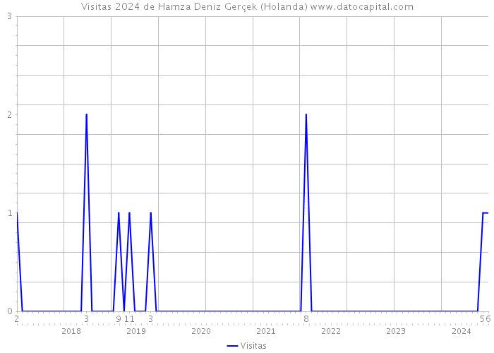 Visitas 2024 de Hamza Deniz Gerçek (Holanda) 