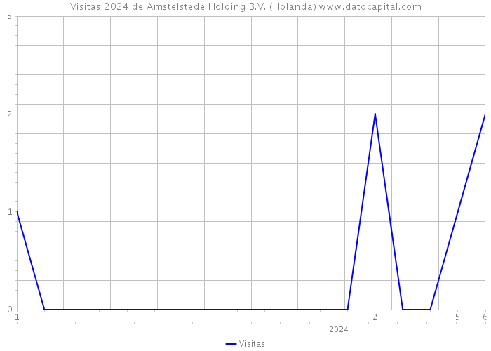 Visitas 2024 de Amstelstede Holding B.V. (Holanda) 