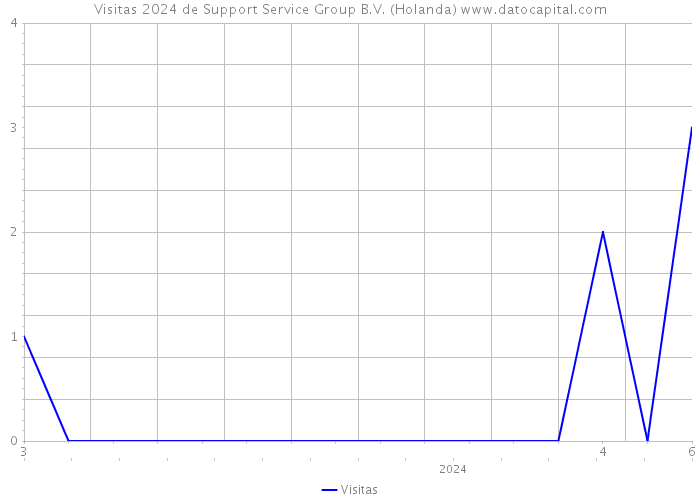Visitas 2024 de Support Service Group B.V. (Holanda) 