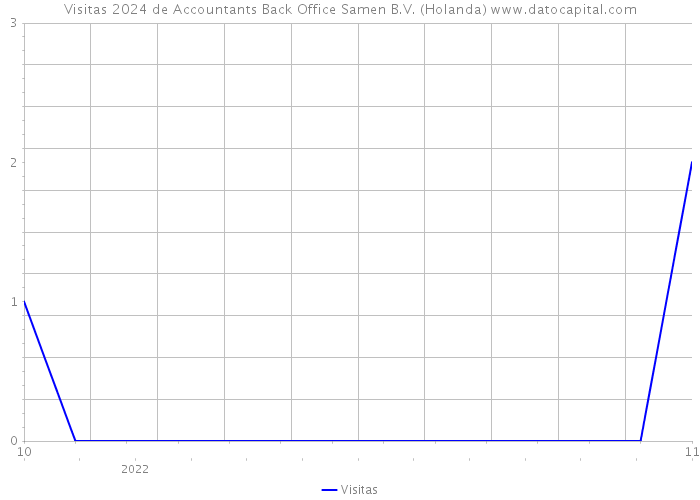 Visitas 2024 de Accountants Back Office Samen B.V. (Holanda) 