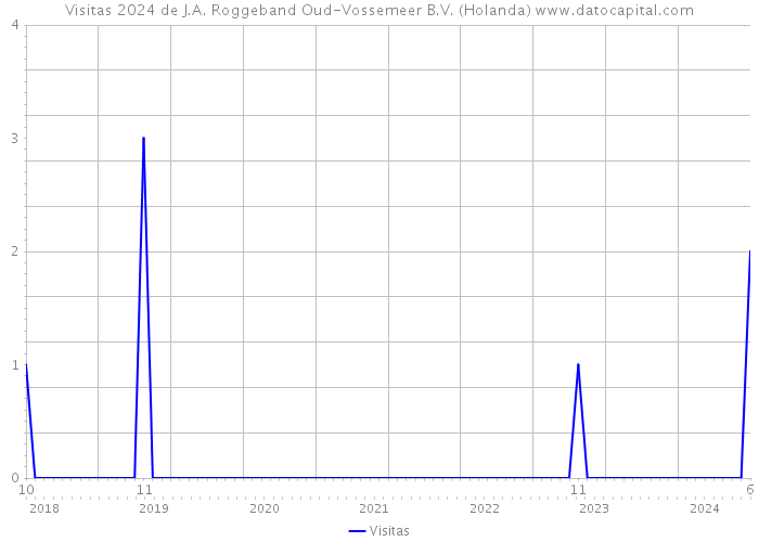 Visitas 2024 de J.A. Roggeband Oud-Vossemeer B.V. (Holanda) 