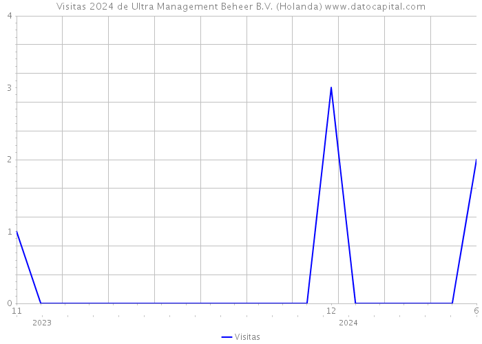 Visitas 2024 de Ultra Management Beheer B.V. (Holanda) 
