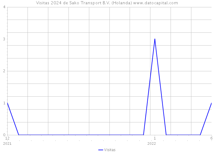 Visitas 2024 de Sako Transport B.V. (Holanda) 