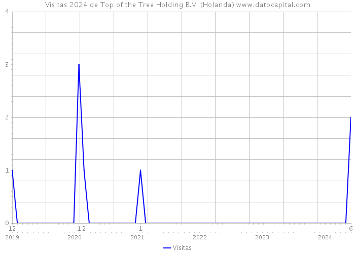 Visitas 2024 de Top of the Tree Holding B.V. (Holanda) 