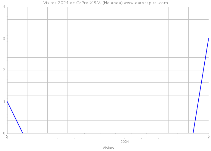 Visitas 2024 de CePro X B.V. (Holanda) 