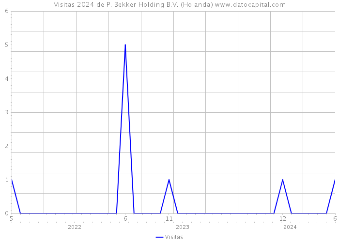 Visitas 2024 de P. Bekker Holding B.V. (Holanda) 