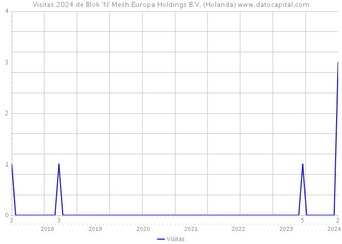 Visitas 2024 de Blok 'N' Mesh Europa Holdings B.V. (Holanda) 