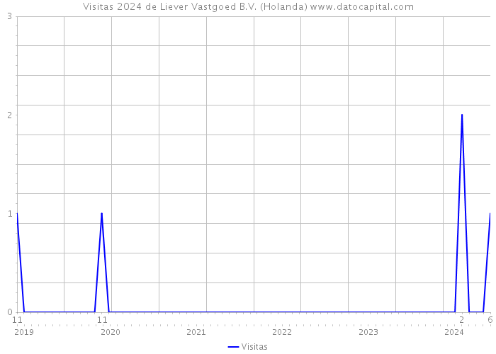 Visitas 2024 de Liever Vastgoed B.V. (Holanda) 