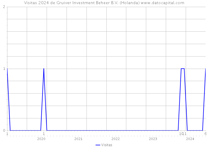 Visitas 2024 de Gruiver Investment Beheer B.V. (Holanda) 