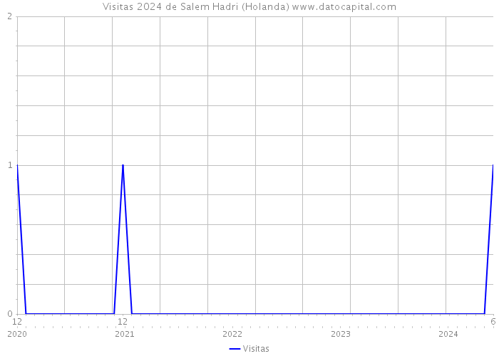 Visitas 2024 de Salem Hadri (Holanda) 