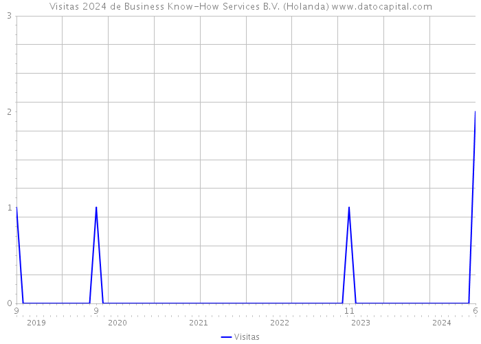 Visitas 2024 de Business Know-How Services B.V. (Holanda) 