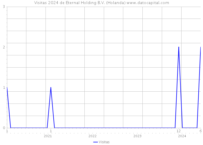 Visitas 2024 de Eternal Holding B.V. (Holanda) 