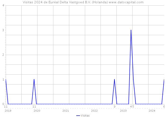 Visitas 2024 de Euréal Delta Vastgoed B.V. (Holanda) 