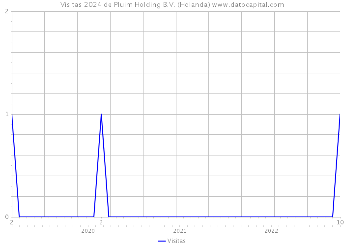 Visitas 2024 de Pluim Holding B.V. (Holanda) 