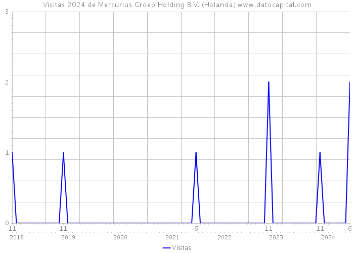 Visitas 2024 de Mercurius Groep Holding B.V. (Holanda) 