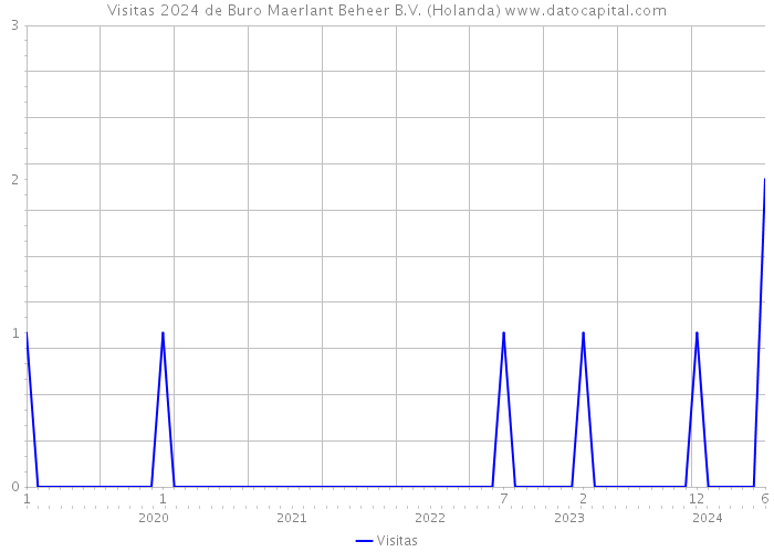 Visitas 2024 de Buro Maerlant Beheer B.V. (Holanda) 