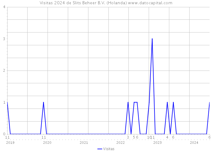 Visitas 2024 de Slits Beheer B.V. (Holanda) 