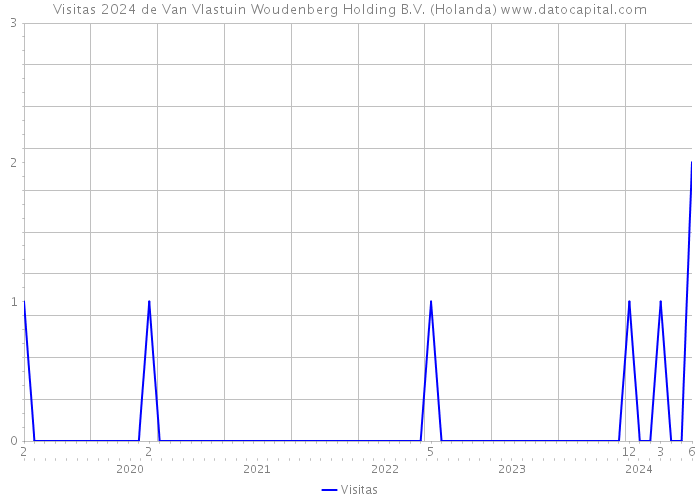 Visitas 2024 de Van Vlastuin Woudenberg Holding B.V. (Holanda) 