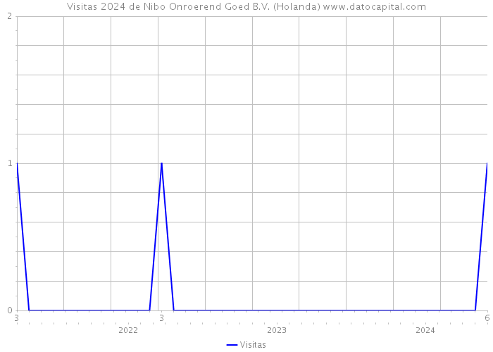 Visitas 2024 de Nibo Onroerend Goed B.V. (Holanda) 