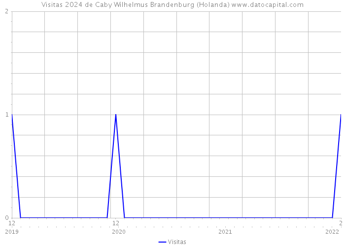 Visitas 2024 de Caby Wilhelmus Brandenburg (Holanda) 