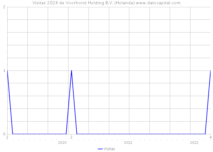 Visitas 2024 de Voorhorst Holding B.V. (Holanda) 