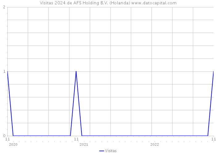 Visitas 2024 de AFS Holding B.V. (Holanda) 