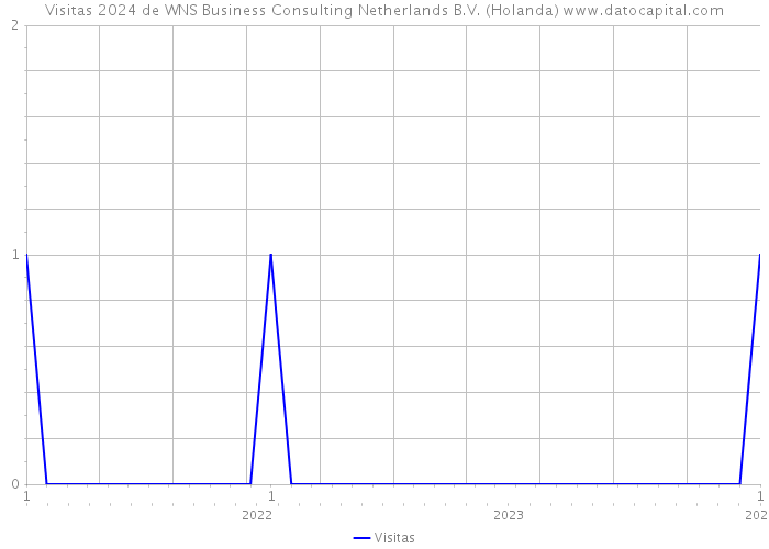 Visitas 2024 de WNS Business Consulting Netherlands B.V. (Holanda) 