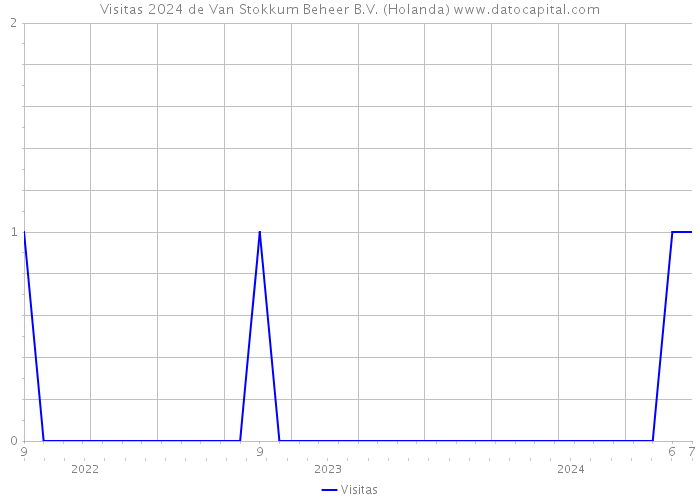 Visitas 2024 de Van Stokkum Beheer B.V. (Holanda) 